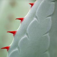 Jedermann/thumbs/pdm-12-02.jpg